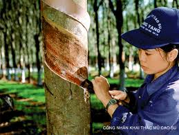 ມີວິສາຫະກິດກວ່າ300ແຫ່ງຖືກຈັດອັນດັບຫນຶ່ງກ່ຽວກັບການຮັບສະໝັກຄົນງານໃນປີ2013